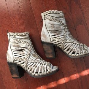 Bella Freebird by Steven